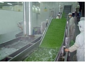 果蔬清洗機(jī) 